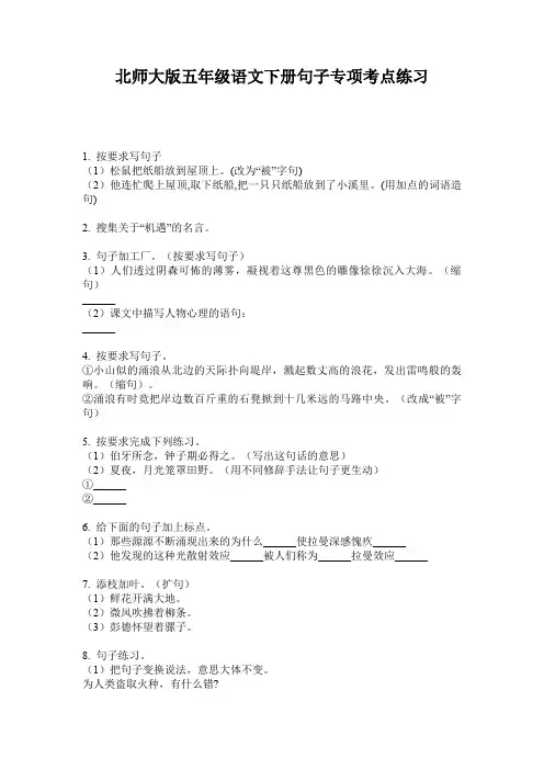 北师大版五年级语文下册句子专项考点练习