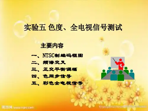 色度、全电视机信号测试ppt
