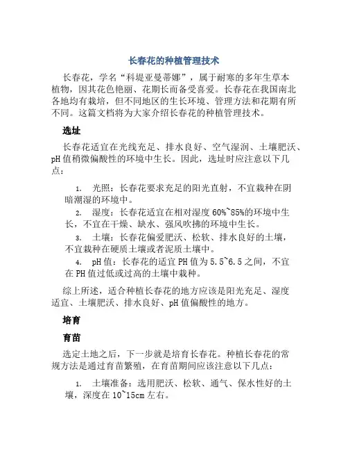 长春花的种植管理技术