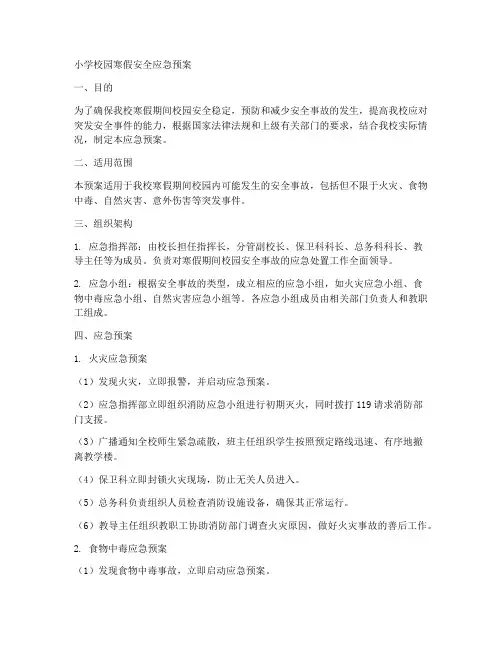 小学校园寒假安全应急预案
