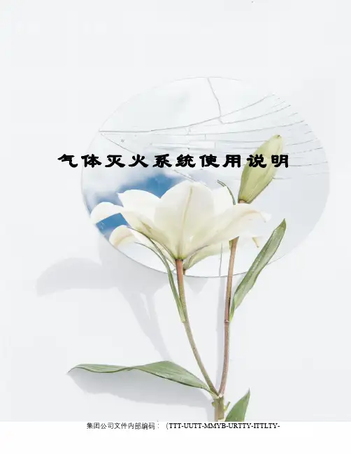 气体灭火系统使用说明优选稿