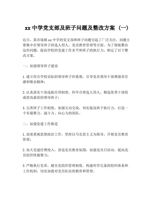 xx中学党支部及班子问题及整改方案 (一)