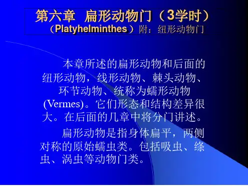 第七章扁形动物门