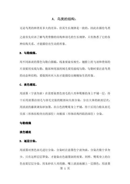 工笔鸟类画法-11页word资料