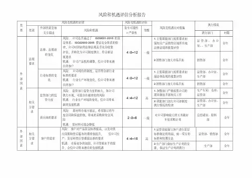 风险和机遇评估分析报告模版