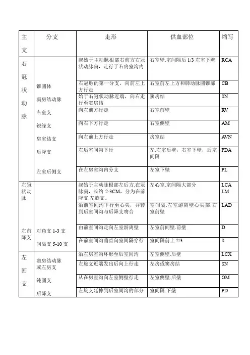 冠脉分支及其缩写
