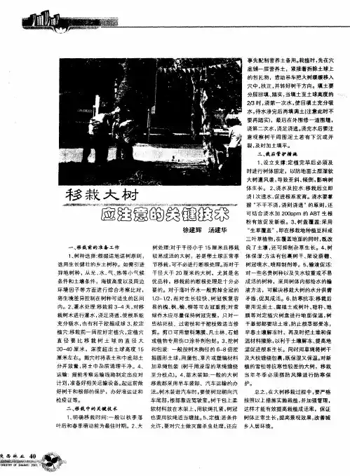 移栽大树应注意的关键技术