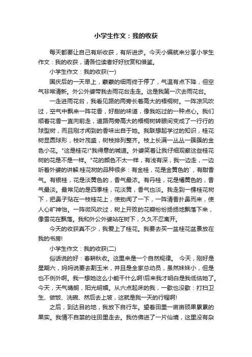 小学生作文：我的收获