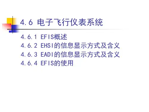 EFIS
