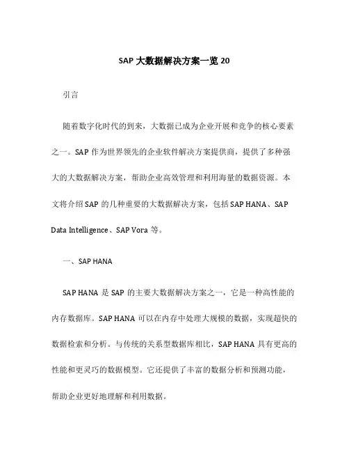 SAP大数据解决方案一览20