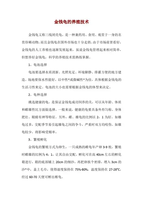 金钱龟的养殖技术
