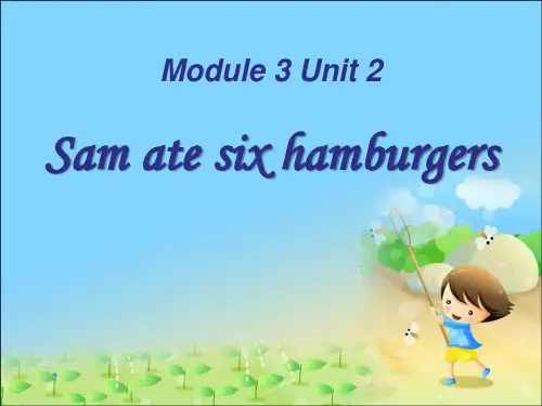 《Sam-ate-four-hamburgers》PPT课件