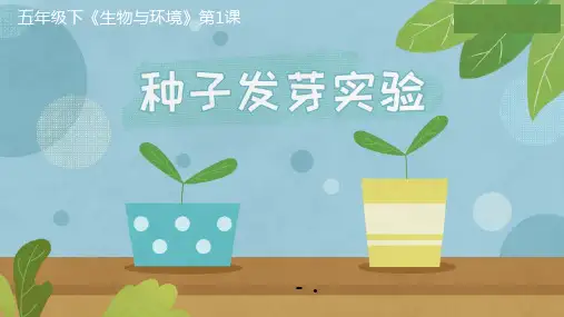 《种子发芽实验》PPT课件