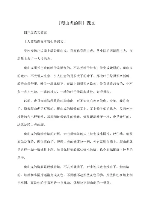 小学四年级语文《爬山虎的脚》课文
