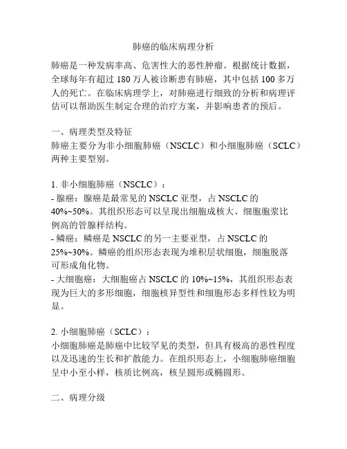 肺癌的临床病理分析