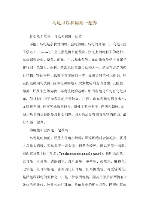 乌龟可以和锦鲤一起养