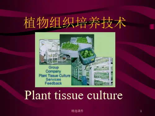 植物组织培养技术(一)