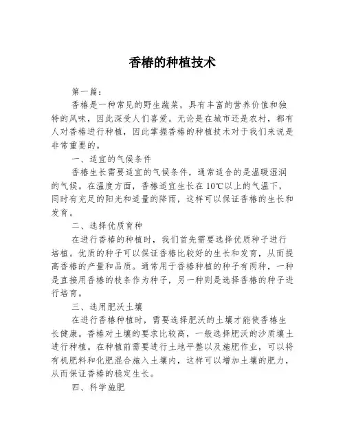 香椿的种植技术