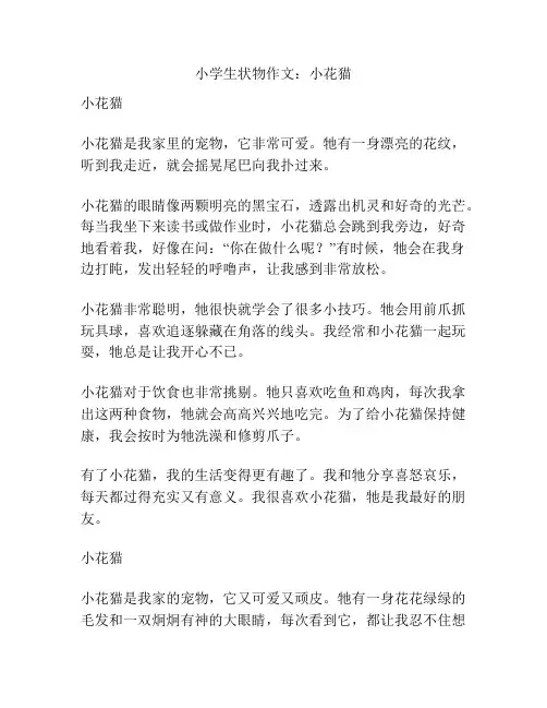 小学生状物作文：小花猫