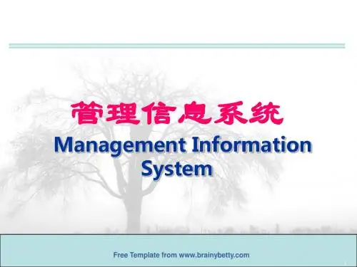 管理信息系统ManagementInformationSystem课件-精品文档
