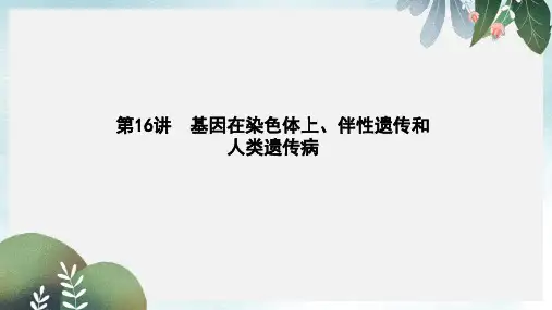 高中生物第五单元孟德尔定律和伴性遗传第16讲基因在染色体上伴性遗传和人类遗传参件