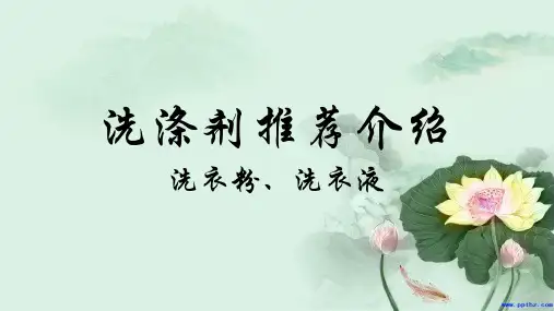 洗涤用品推荐介绍ppt