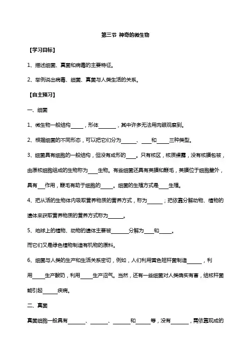 苏科版八年级上册    14.3神奇的微生物导学案