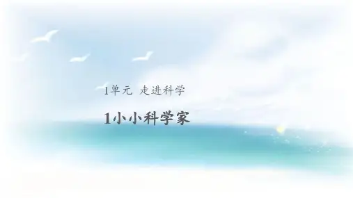 苏教版小学科学一年级上册配套课件(全册)