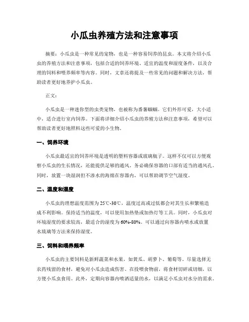 小瓜虫养殖方法和注意事项