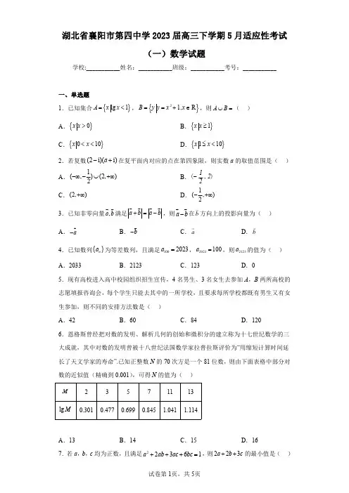 湖北省襄阳市第四中学2023届高三下学期5月适应性考试(一)数学试题