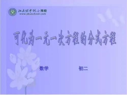 可化为一元一次方程的分式方程-(201908)