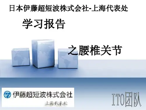 《腰髋关节》ppt课件