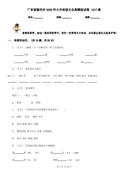 广东省韶关市2020年小升初语文全真模拟试卷 (4)C卷