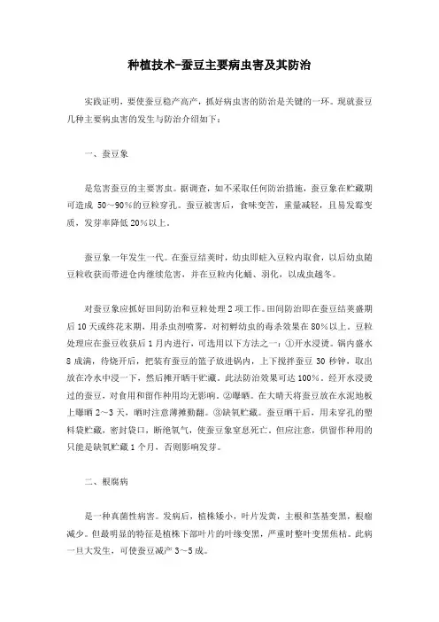 种植技术-蚕豆主要病虫害及其防治