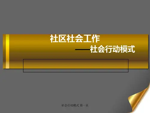 社区社会工作.社会行动模式