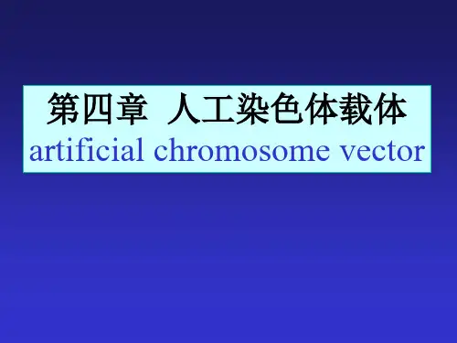 第四章 人工染色体载体