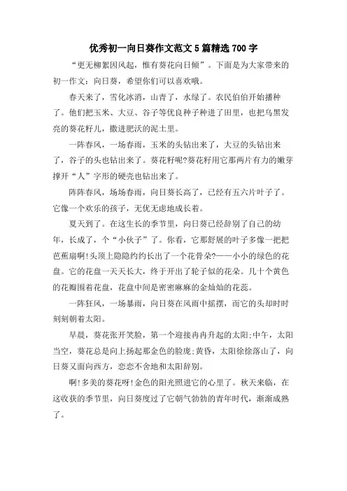 优秀初一向日葵作文范文5篇700字
