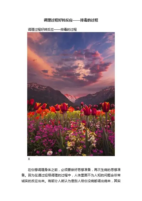 调理过程好转反应——排毒的过程