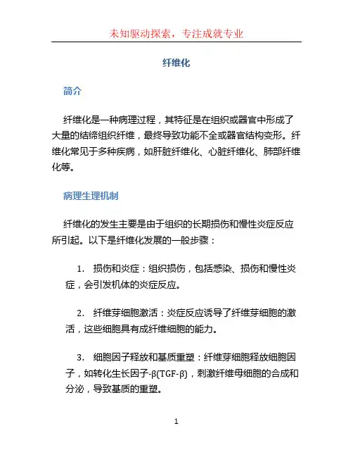 纤维化文档