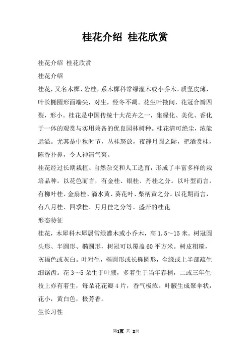 桂花介绍 桂花欣赏