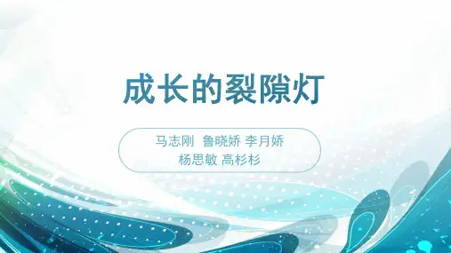裂隙灯显微镜