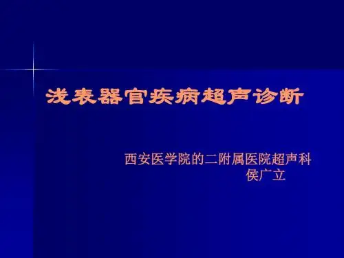 浅表系统超声诊断