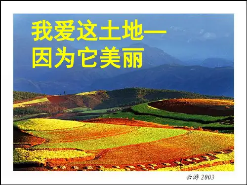 《我爱这土地》ppt课件(49页)
