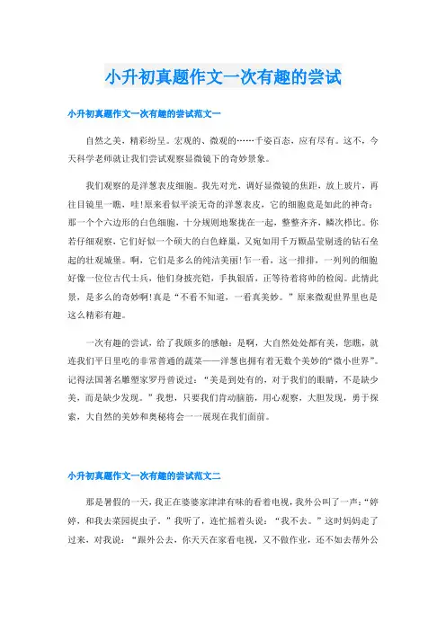 小升初真题作文一次有趣的尝试