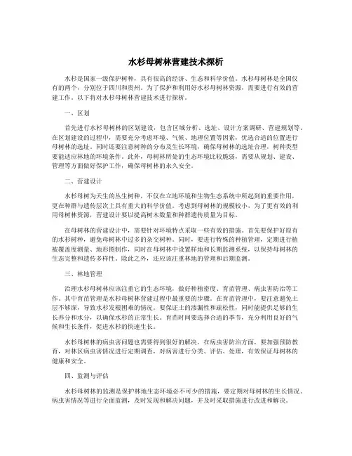 水杉母树林营建技术探析