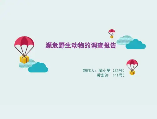 (修改)濒危野生动物的调查报告