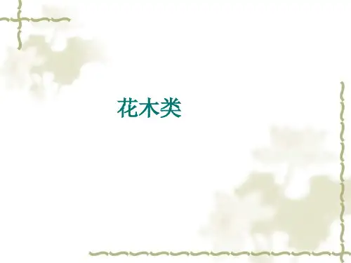 花木类