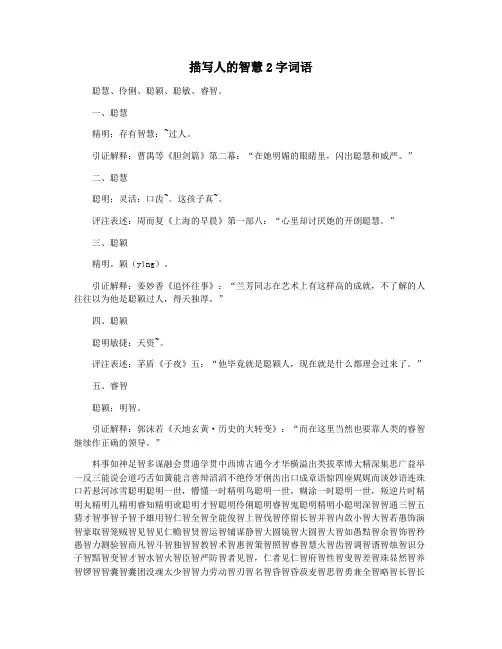 描写人的智慧2字词语