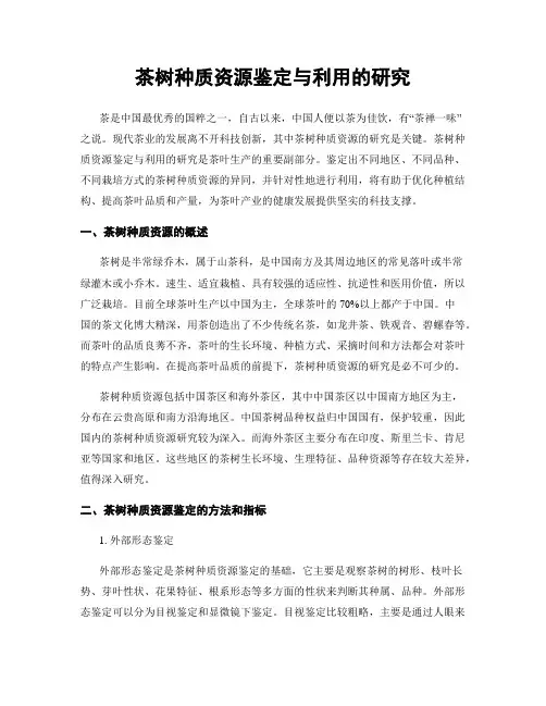 茶树种质资源鉴定与利用的研究