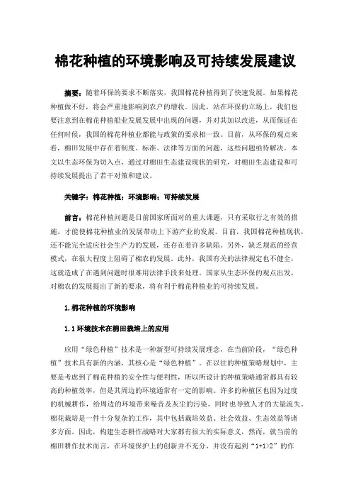 棉花种植的环境影响及可持续发展建议